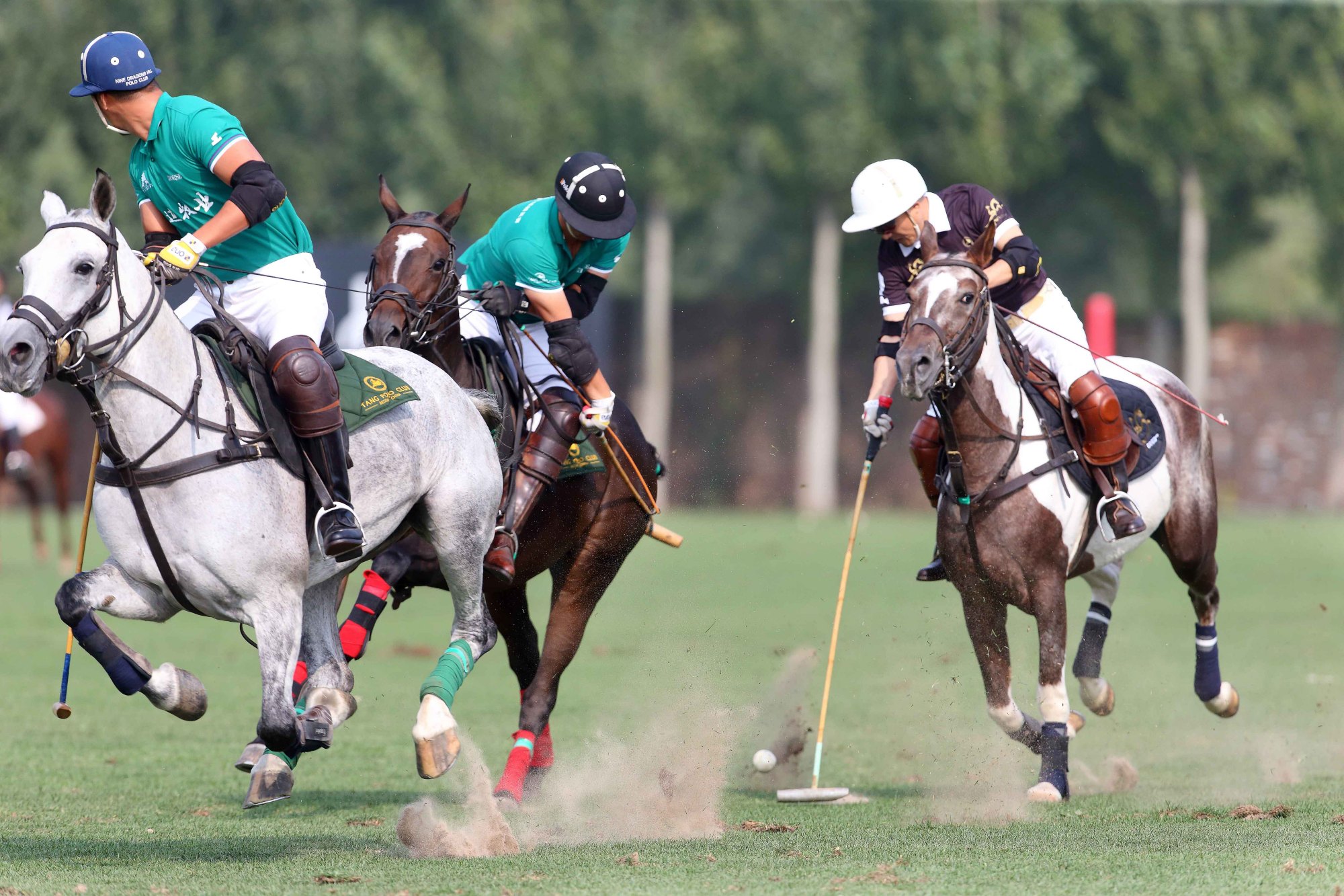 包含基耶沃主场告捷,球队备战下一轮比赛的词条 包含基耶沃主场告捷,球队备战下一轮比赛的词条