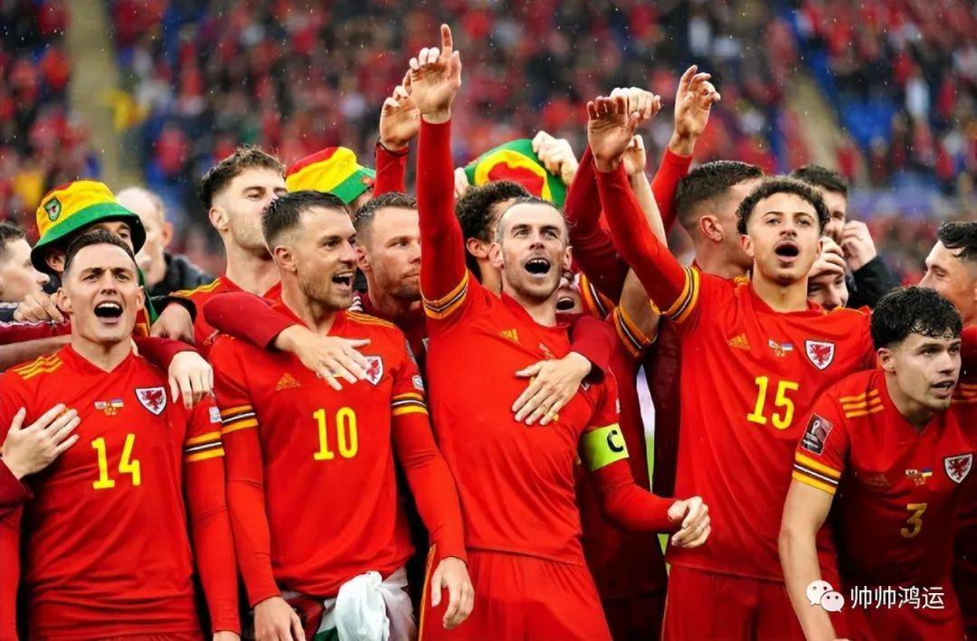 白俄罗斯胜利在望,欧预赛比赛球队团队精神 白俄罗斯胜利在望,欧预赛比赛球队团队精神