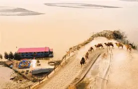 沙尔克齐心协力，击败对手升至积分榜前列的简单介绍