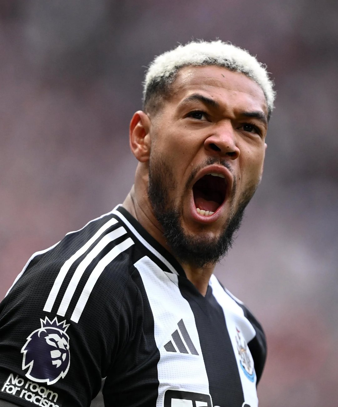 纽卡斯尔惊险获胜，全场观众叫好