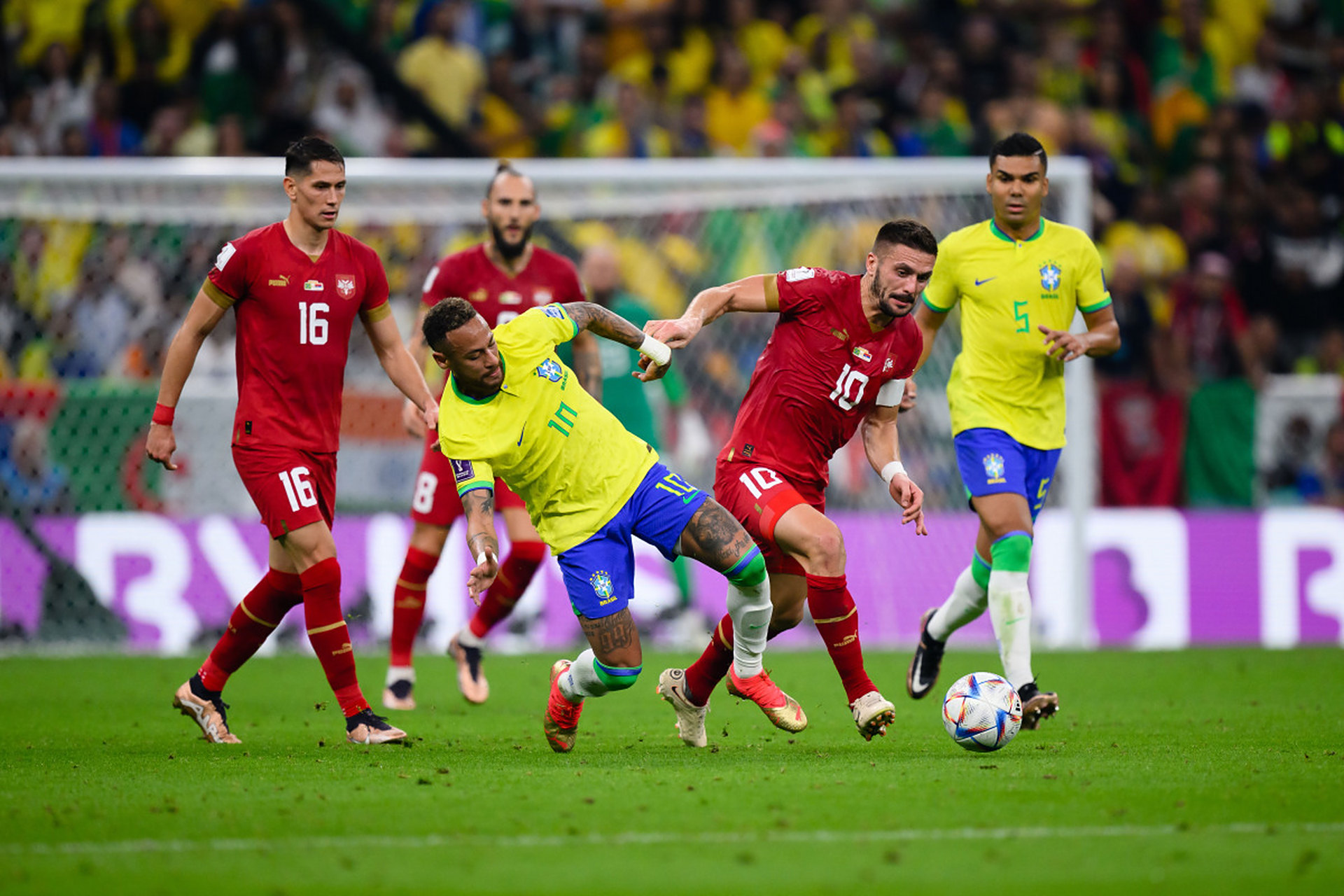 比利时力克克罗地亚,保持全胜 比利时力克克罗地亚,保持全胜