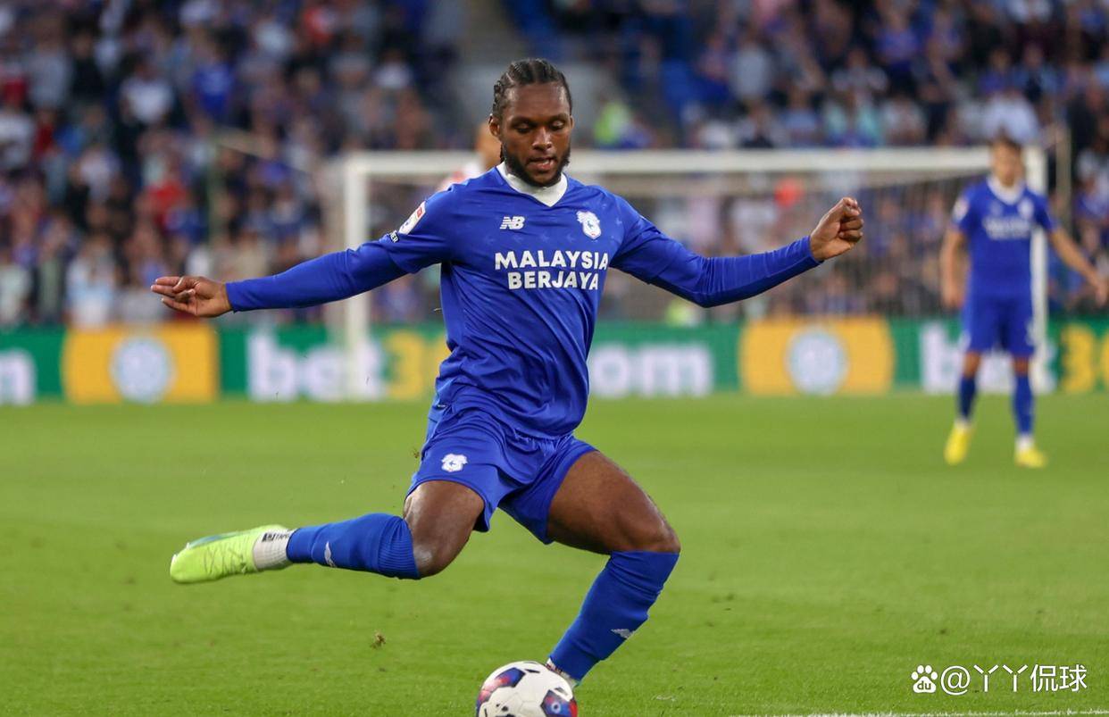 卡迪夫城队员集体支持球队保级战 卡迪夫城队员集体支持球队保级战